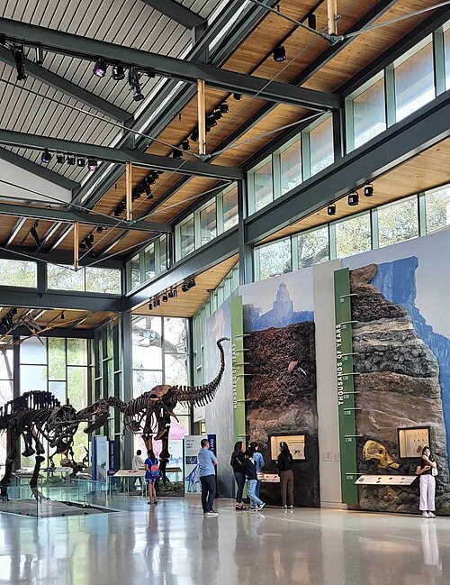 The Witte Museum’s lobby