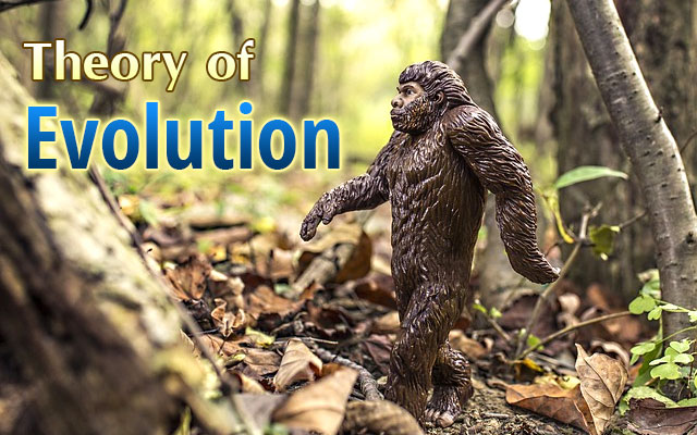 Theory-of-Evolution