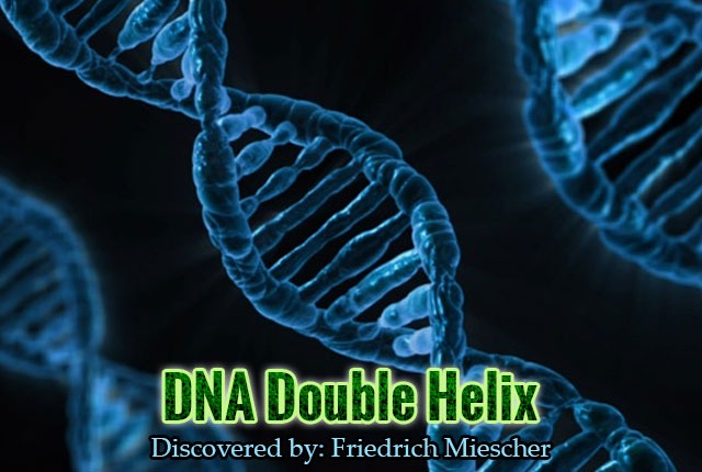 DNA-Double-Helix