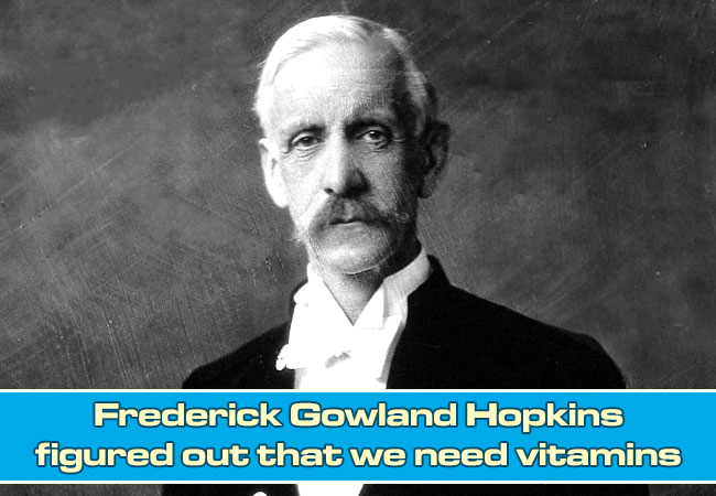 Frederick-Gowland-Hopkins-figured-out-that-we-need-vitamins