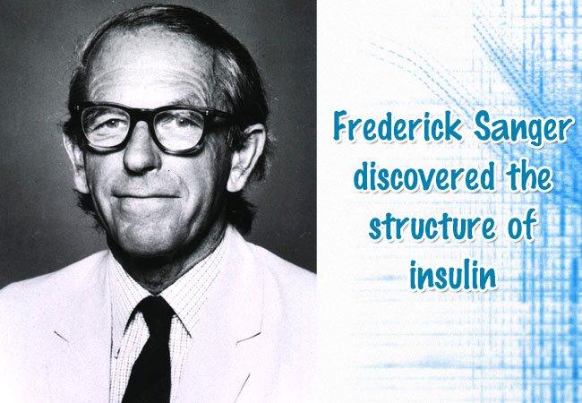Frederick-Sanger-discovered-the-structure-of-insulin