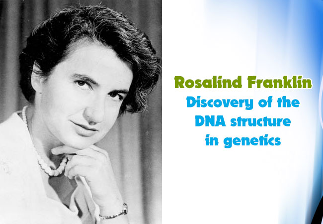 Rosalind Franklin Discovery of the DNA structure in genetics