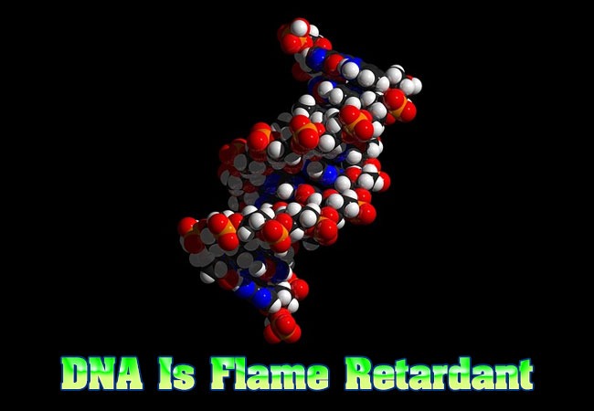 DNA-is-flame-retardant