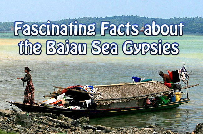 Fascinating Facts about the Bajau Sea Gypsies