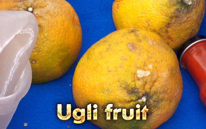 15-Ugli-fruit