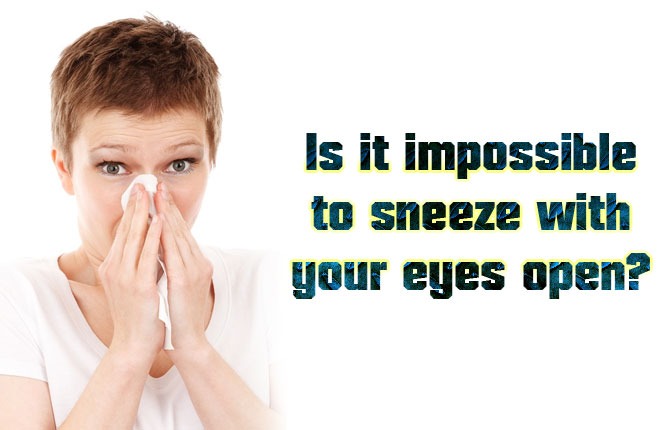 7-Is-it-impossible-to-sneez