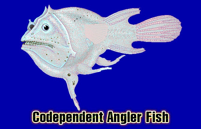 6-codependent-angler-fish
