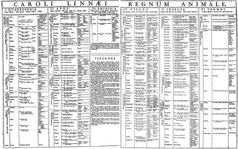 Linnaeus's table of the animal kingdom, 1935