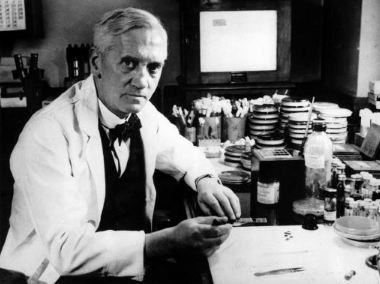 Scottish physician and microbiologist – Alexander Fleming