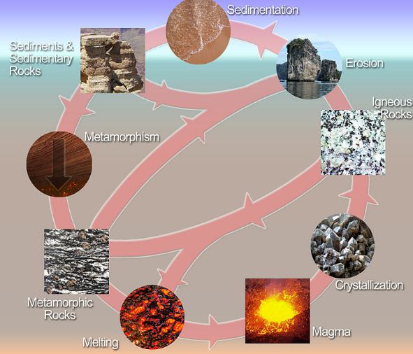 The rock cycle shows the relationship between its various types
