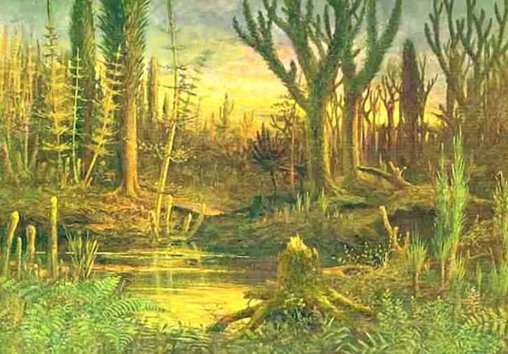 An illustration depicting the land colonization by plants in the late Devonian period