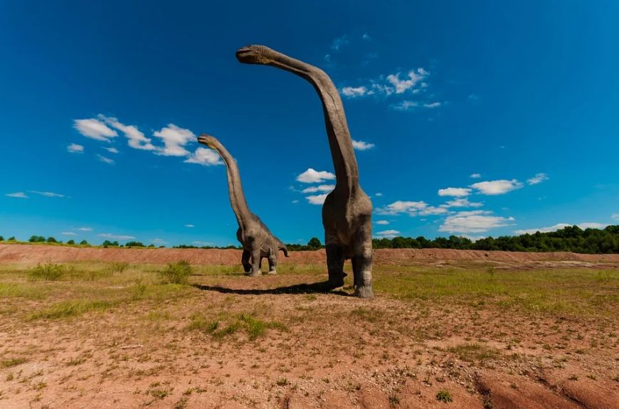 An image showing dinosaurs.