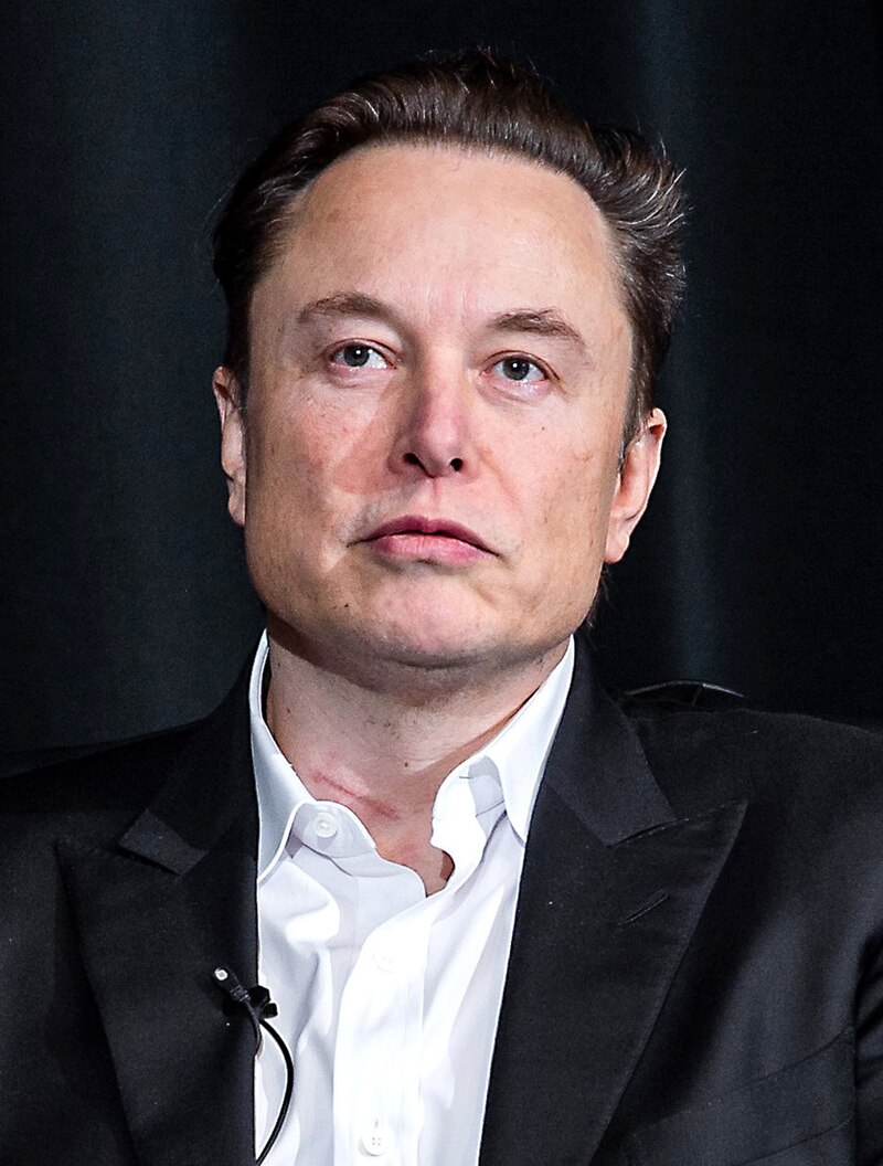 Facts About Elon Musk You Probably Didn't Know