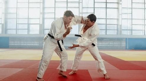 Musk Learned Karate, Judo, and Wrestling