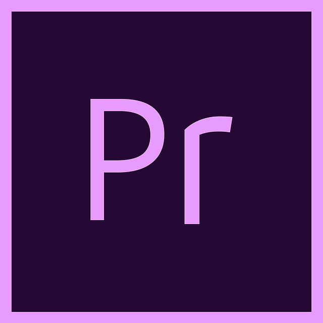 Why You Should Consider Getting Adobe Premiere Pro Training