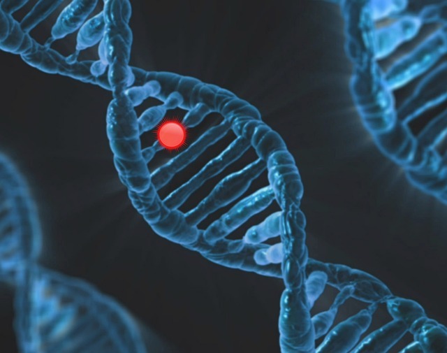 Revolutionizing Molecular Diagnostics: Unraveling the Potential of Cell-Free DNA Tubes