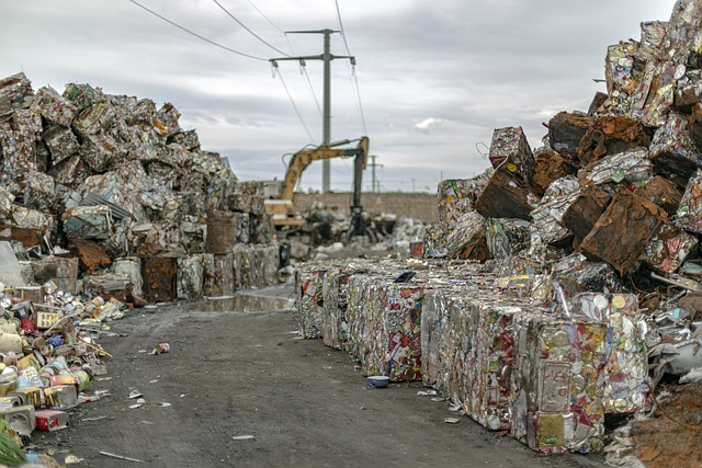 Speedy & Sustainable Waste Management in Melbourne