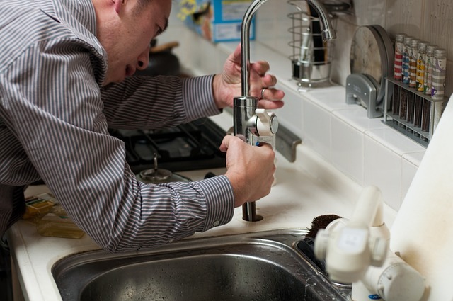 Plumbing Science: Lessons from Positive User Reviews